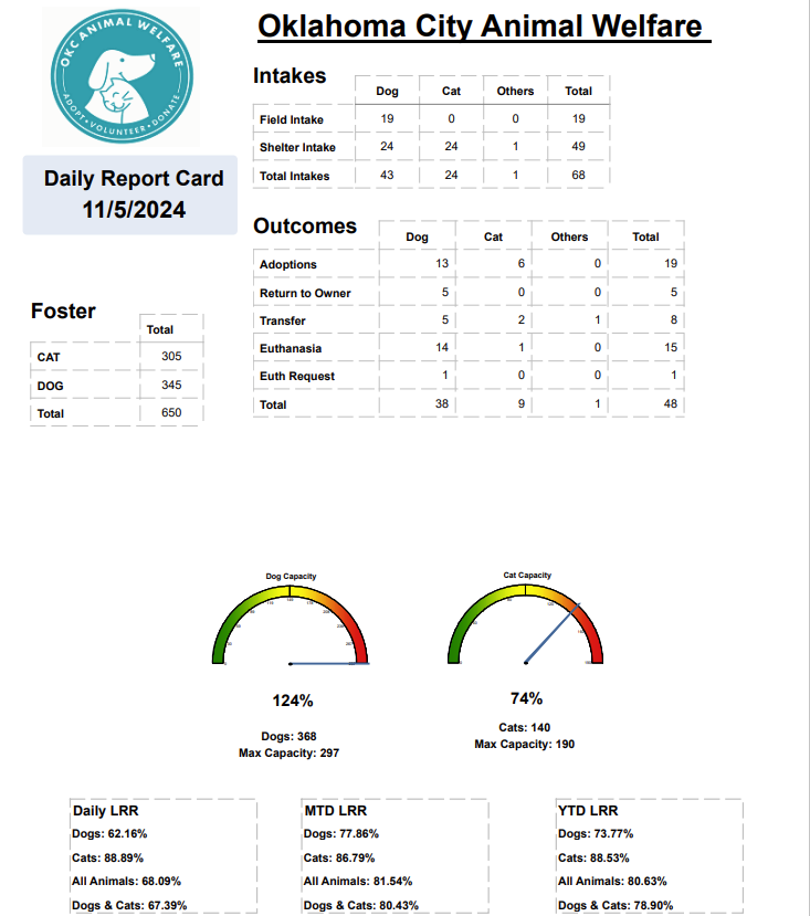 Report Card 10 06 24